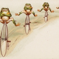 4 frogs biking