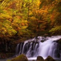 Autumn in Japan