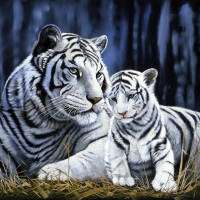 White Tigers