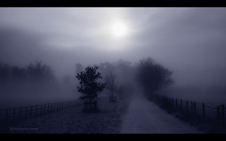 Cool Blue - sky, sun, sensual, winter, path, widescreen, blue, fog, frees, surreal, natural