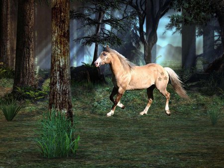 alek35 - forest, horse