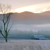 Fields of frost