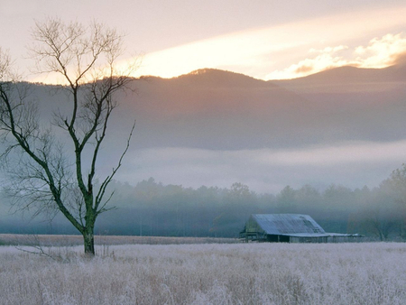 Fields of frost - cold, frost, tennessee, winter, field, usa, shed, barn