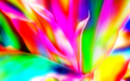 colorful 1.jpg - colors, psycedilly, splash