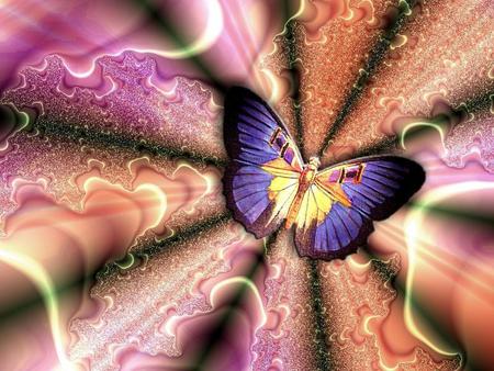 Butterfly - butterfly, abstract