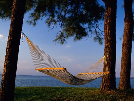 Lazy afternoon - hammock, grass, trees, beach