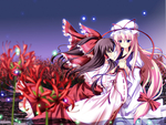 hakurei reimu touhou yakumo yukari