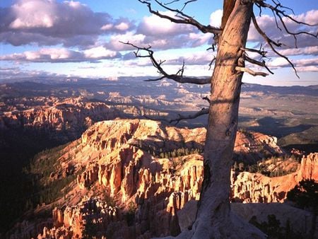 Grand Canyon - sky, view, grand, canyon, clouds, breathtaking, tree