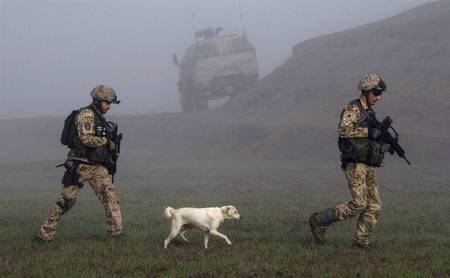 Dog Follows German Soliders - military, photography, dogs