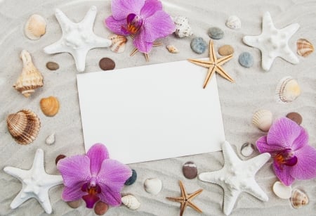 ♥ - starfish, white, summer, orchid, card, flower, pink, vara