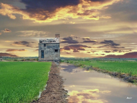 ALFAFAR SPAIN - SPAIN, NATURE, CLOUDS, FIELDS, ALFAFAR