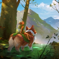Forest walk