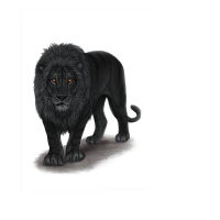 Black lion