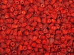 Raspberries