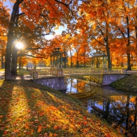 Autumn Park