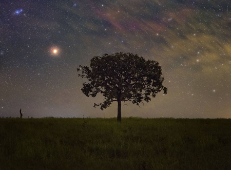 Orion Rising over Brazil - space, fun, planets, galaxies, stars, cool