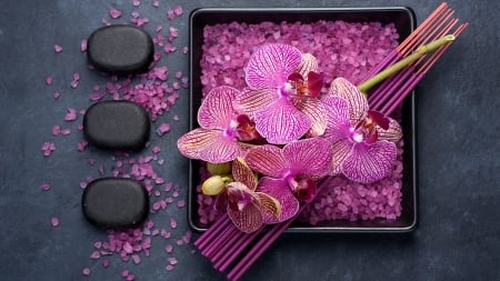 spa - flowers, stone, spa, orchids, salt, cool