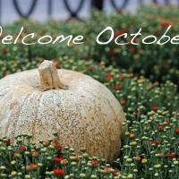 Welcoming in October