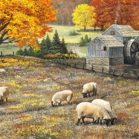 Sheep In Autumn