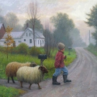 Taking The Sheep For a Walk