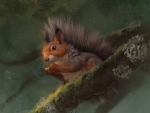 Red squirrel