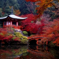 Autumn In Japan