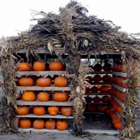 Pumpkin House