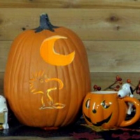 Woodstock And Snoopy Pumpkin And Cup