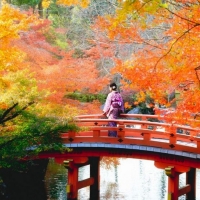 Japan Woman In Autumn 2019