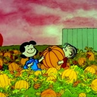 Great Pumpkin Patch