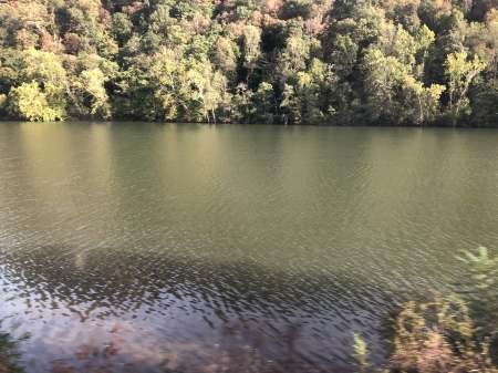 Kanawha River, WV - Trees, Reflections, Rivers, Nature