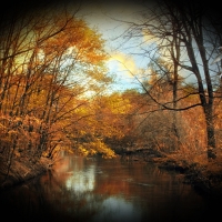 Autumn Pond Flight