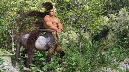 Centaur with long hair - centaur, fantasy, warrior, hair