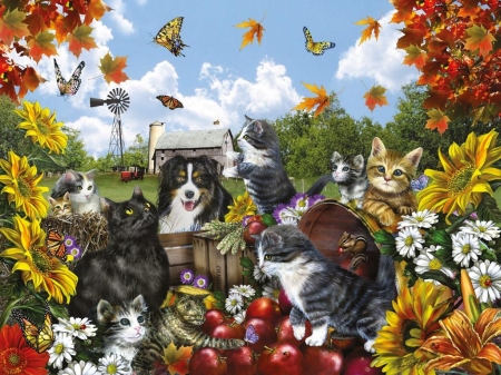 ♥ - dog, animal, mar, sunflower, painting, fruit, autumn, pumpkin, pisic, caine, art, garden, cat, orange, pisici, red, yellow, apple, leaf