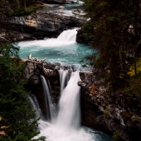 Forest Waterfall