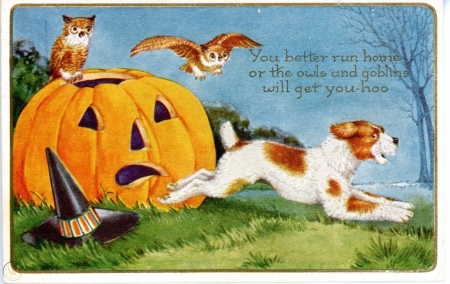 Happy Halloween! - hat, bird, running, dog, bufnita, pumpkin, orange, cat, owl, pasari, retro, vintage, pisici, halloween, caine, card