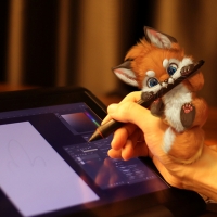 Pocket fox