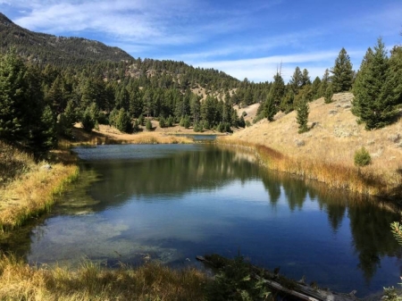 Yellowstone Natl Park in October