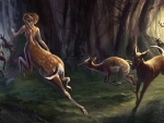 Deers