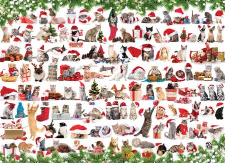 Christmas cats - cat, christmas, collage, craciun, paper, pattern, pisici, texture