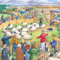 Sheep sale