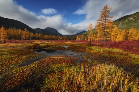 Fresh Air - cloud, nature, tree, water