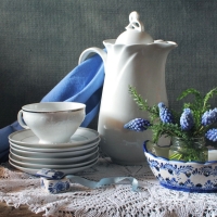 Blue and White Still Life