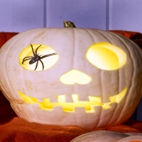 White Pumpkin With Spider