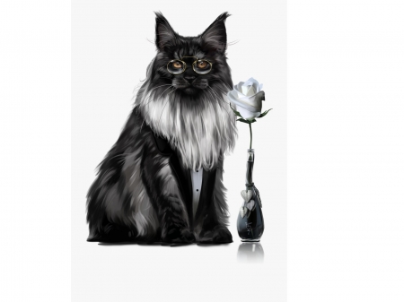 Cats Animals Background Wallpapers On Desktop Nexus Image