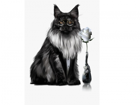 ♥ - vase, flower, cat, black, fantasy, white, glasses, pisici, rose, maine coon, ochelari