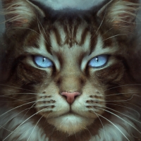 Hawkfrost