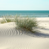 Beach in Denmark