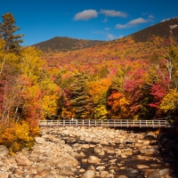 Bridge over Forest River in Autumn