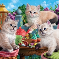 Kittens Tea Party